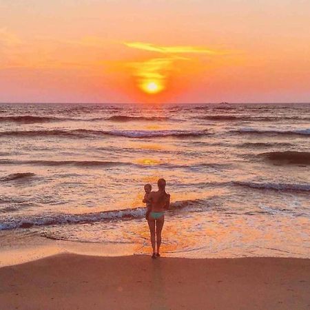Mbeach Nest パナドゥラ エクステリア 写真